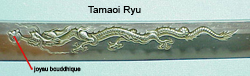 tamaoi ryu